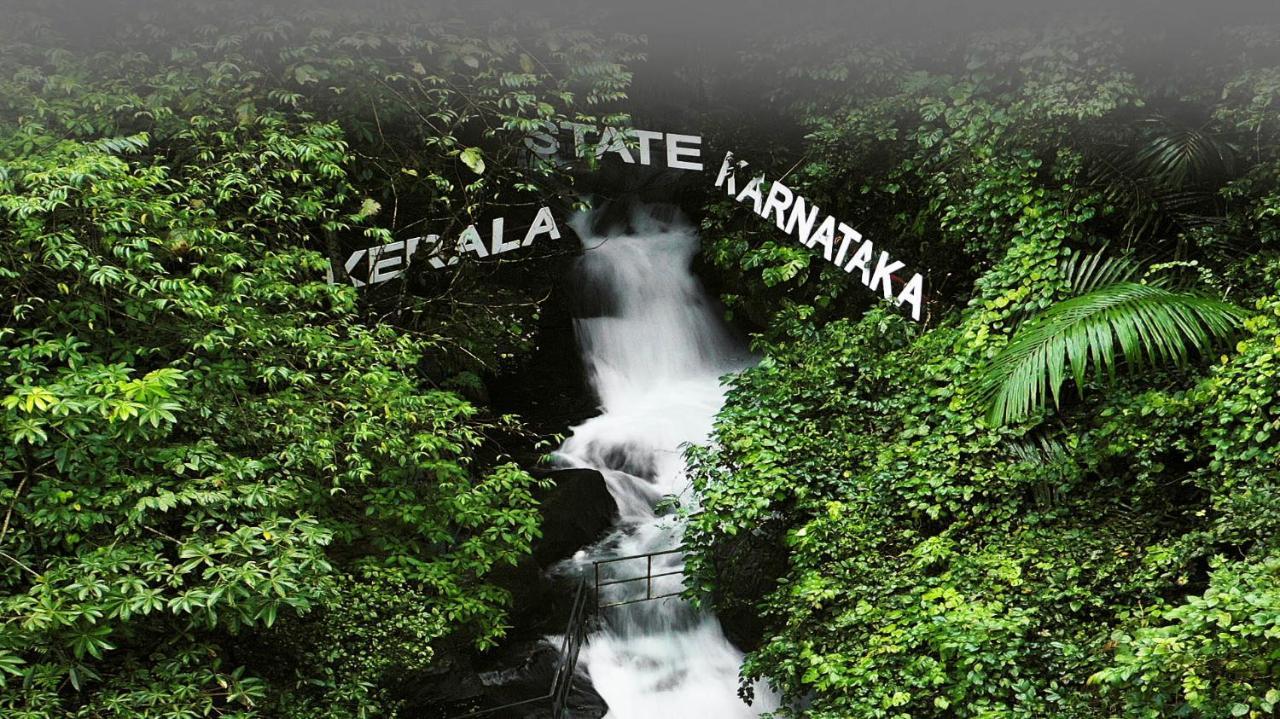 Holistic Stay Eco-Resort & Ayurvedic Retreat Paithalmala 외부 사진