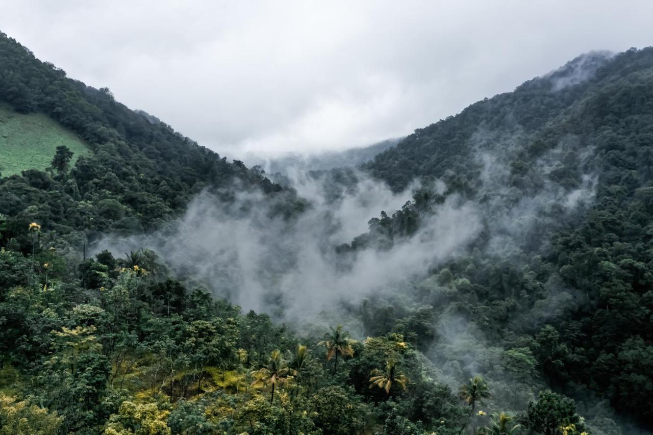 Holistic Stay Eco-Resort & Ayurvedic Retreat Paithalmala 외부 사진