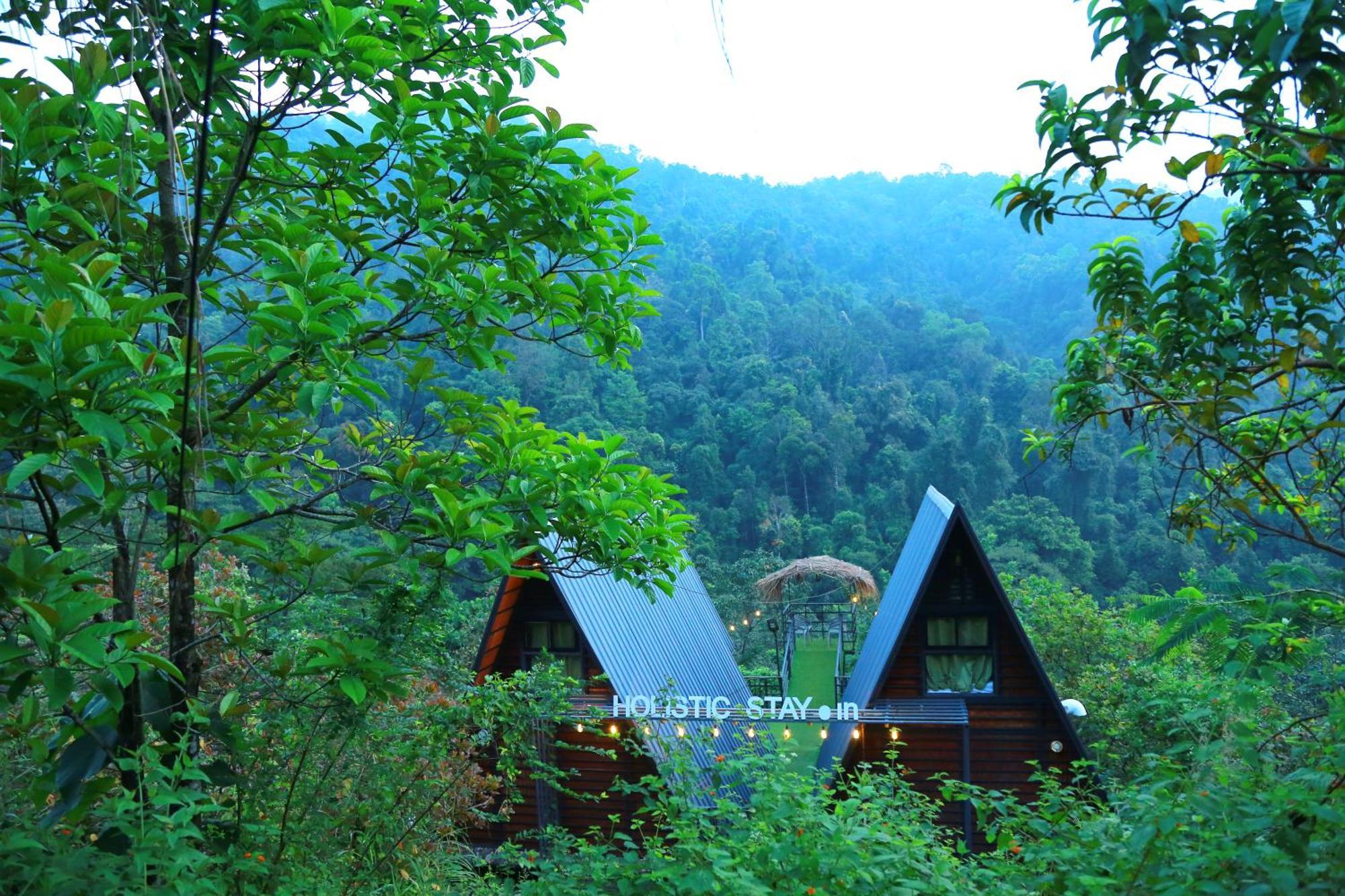 Holistic Stay Eco-Resort & Ayurvedic Retreat Paithalmala 외부 사진
