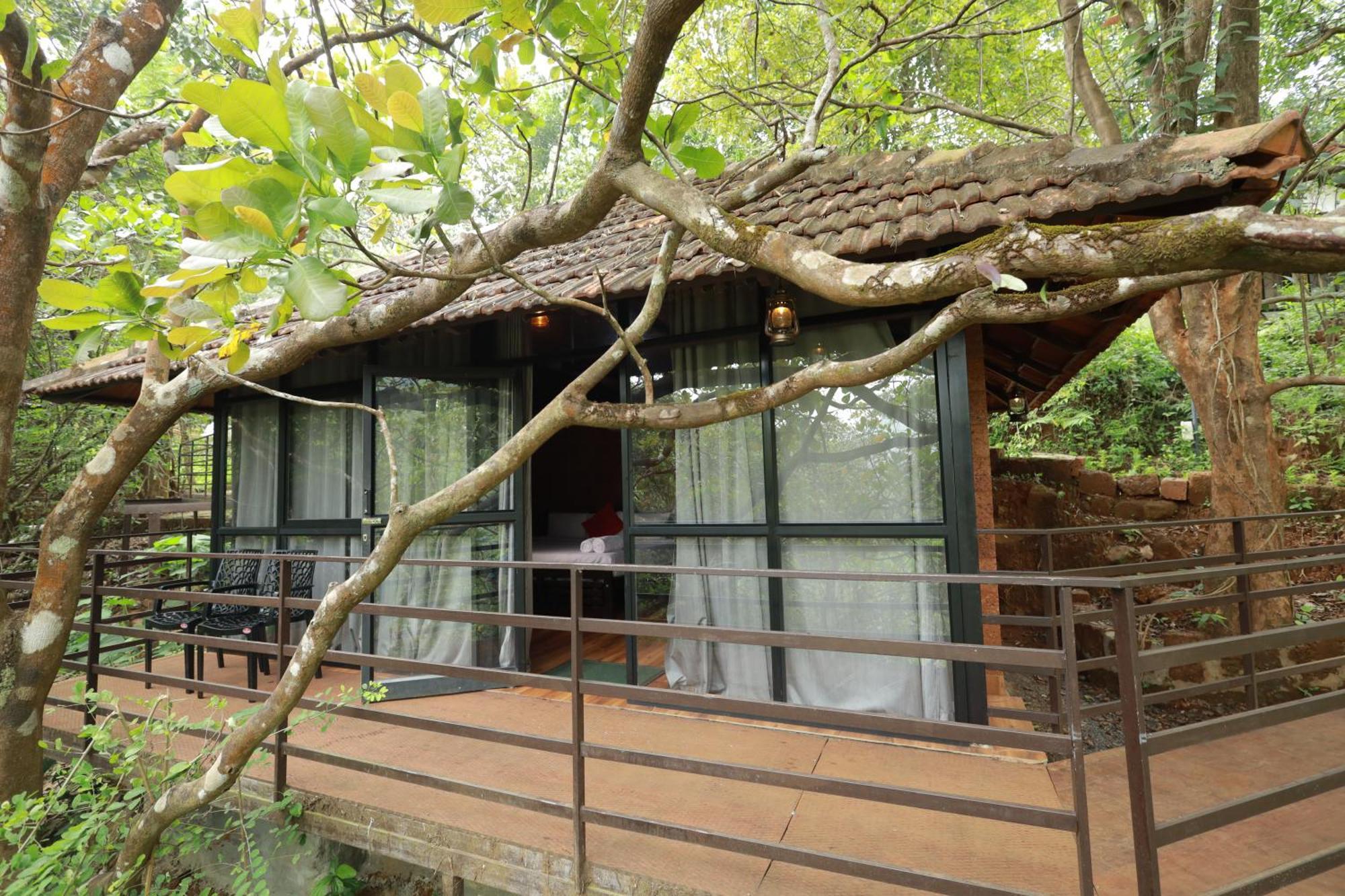 Holistic Stay Eco-Resort & Ayurvedic Retreat Paithalmala 외부 사진